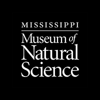 Museum of Natural Science image