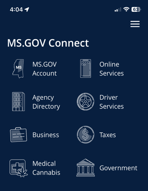 MS.GOV Connect screenshot